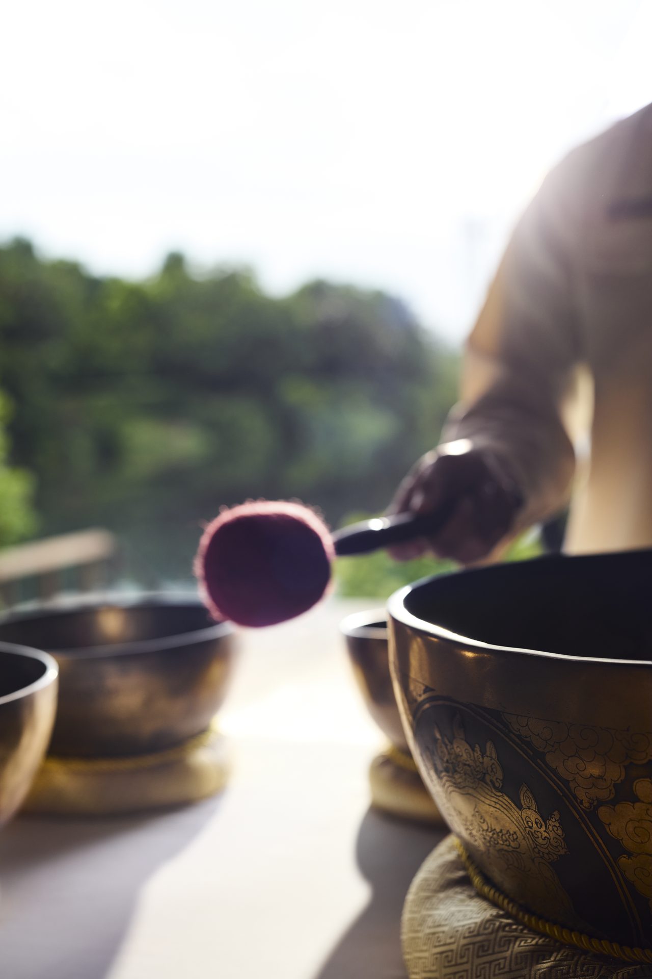 Longevity – Wissenschaft des langen Lebens